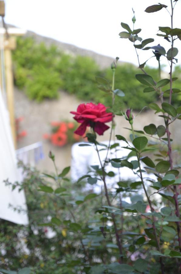 Le Clos Des Pommes Bioncourt エクステリア 写真